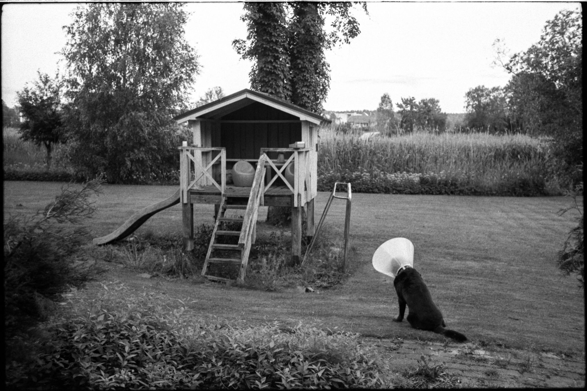 film-0663-032