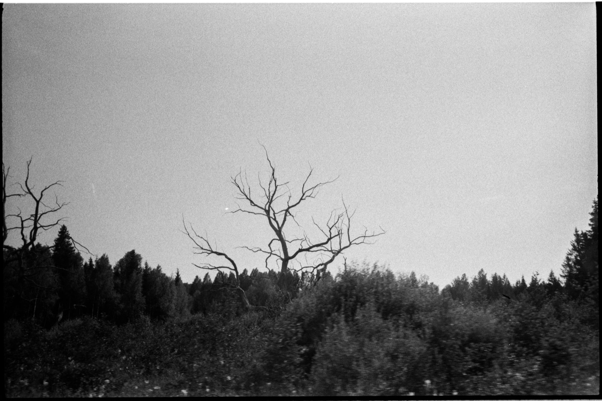 film-0671-025