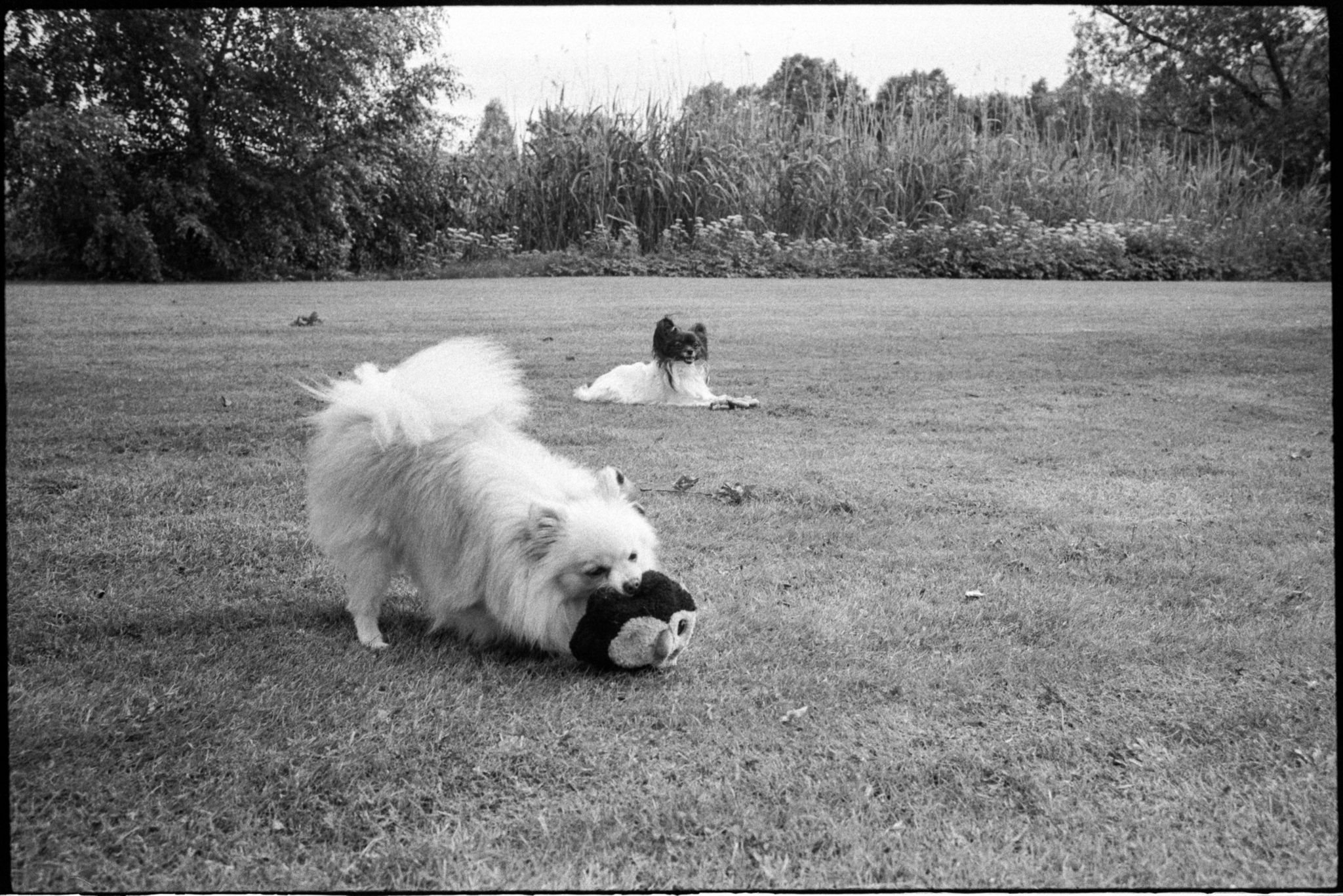 film-0663-017