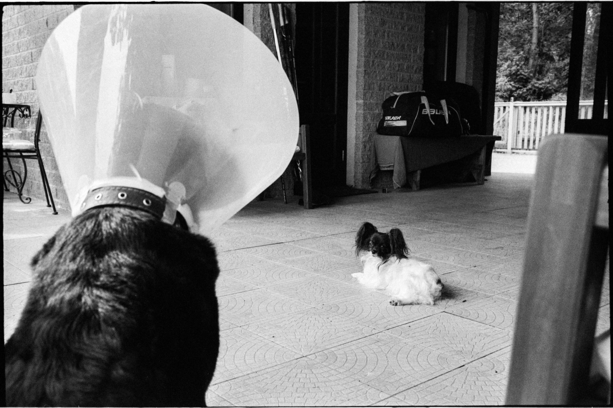 film-0663-011