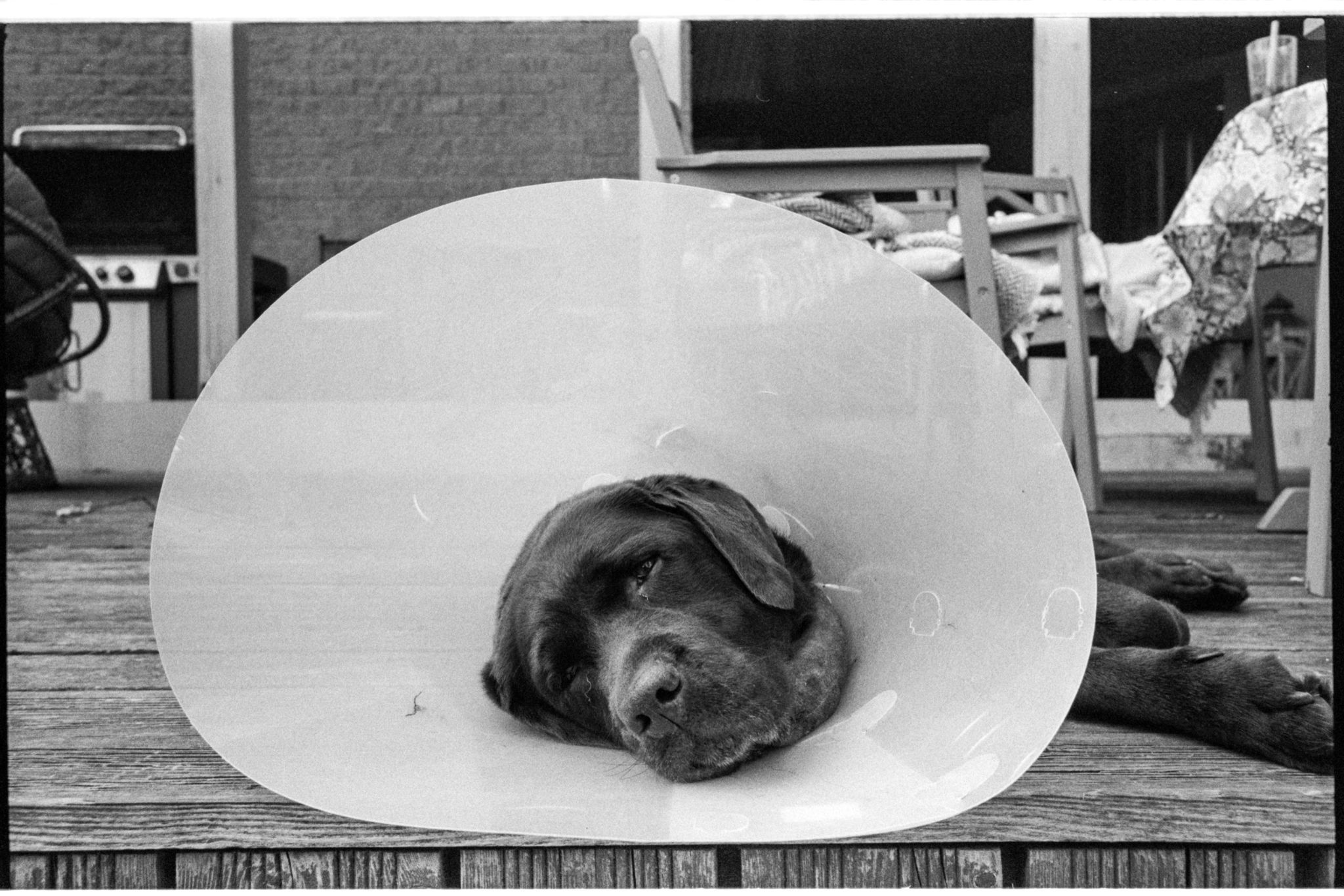 film-0663-022