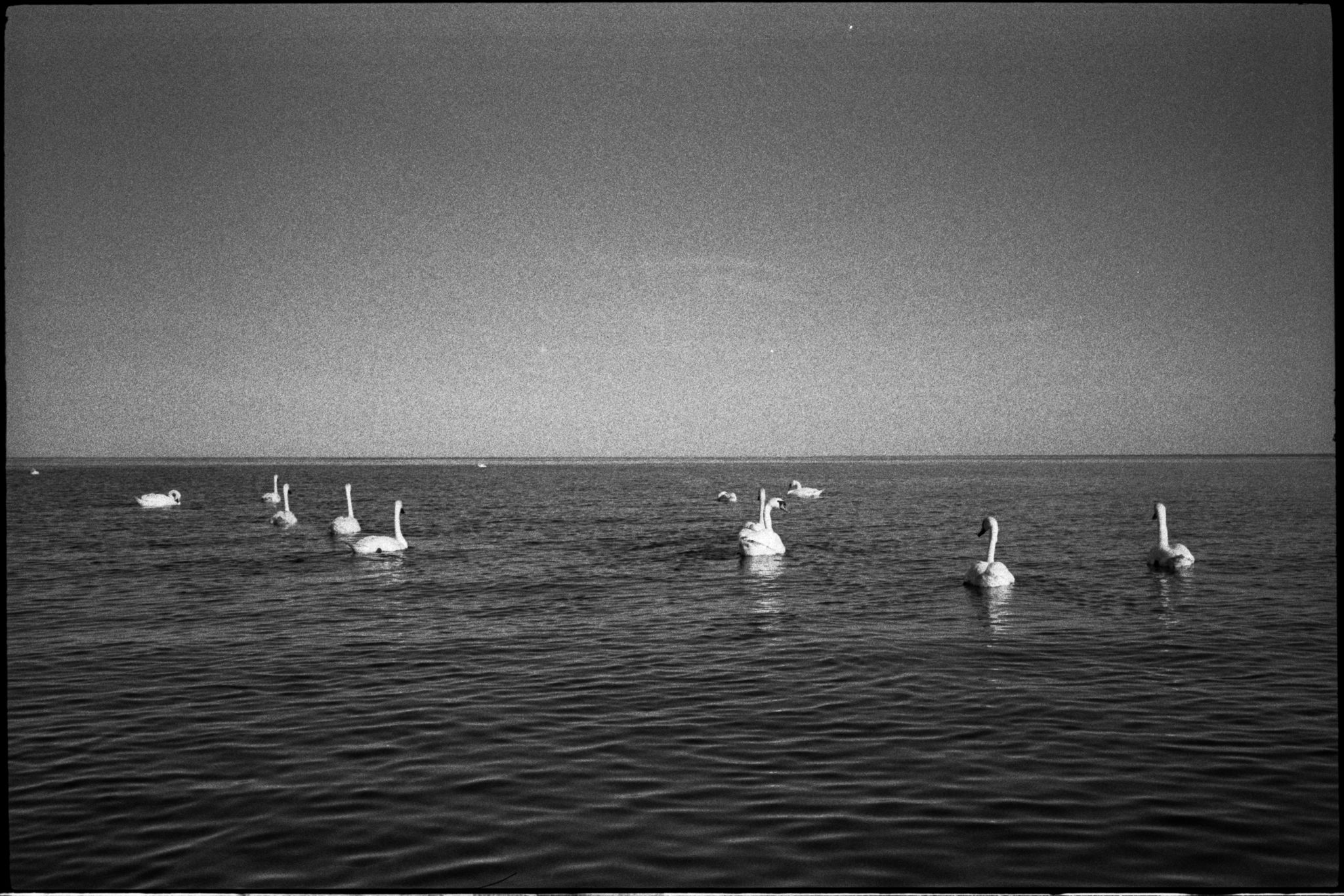 film-0670-016
