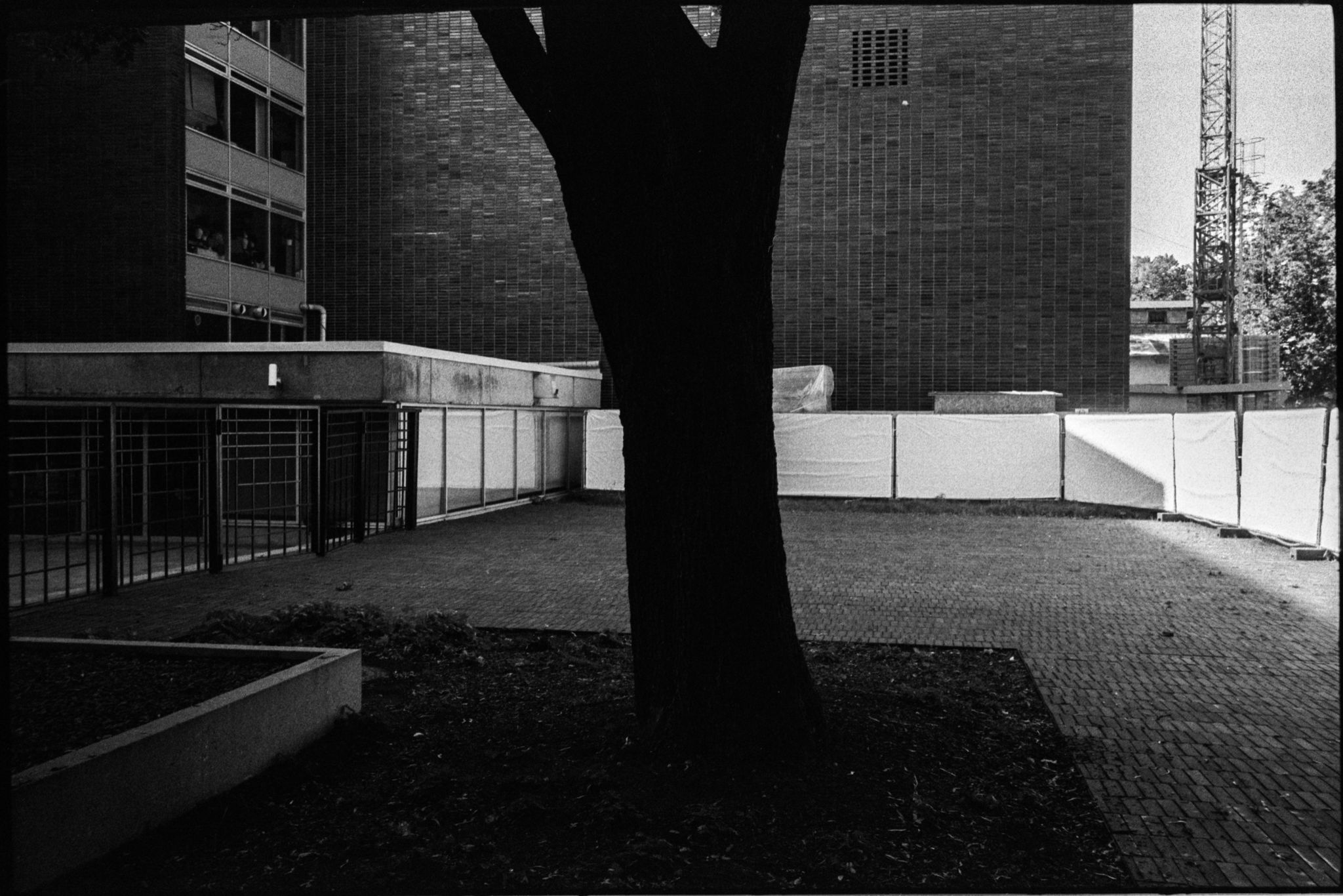 film-0689-037
