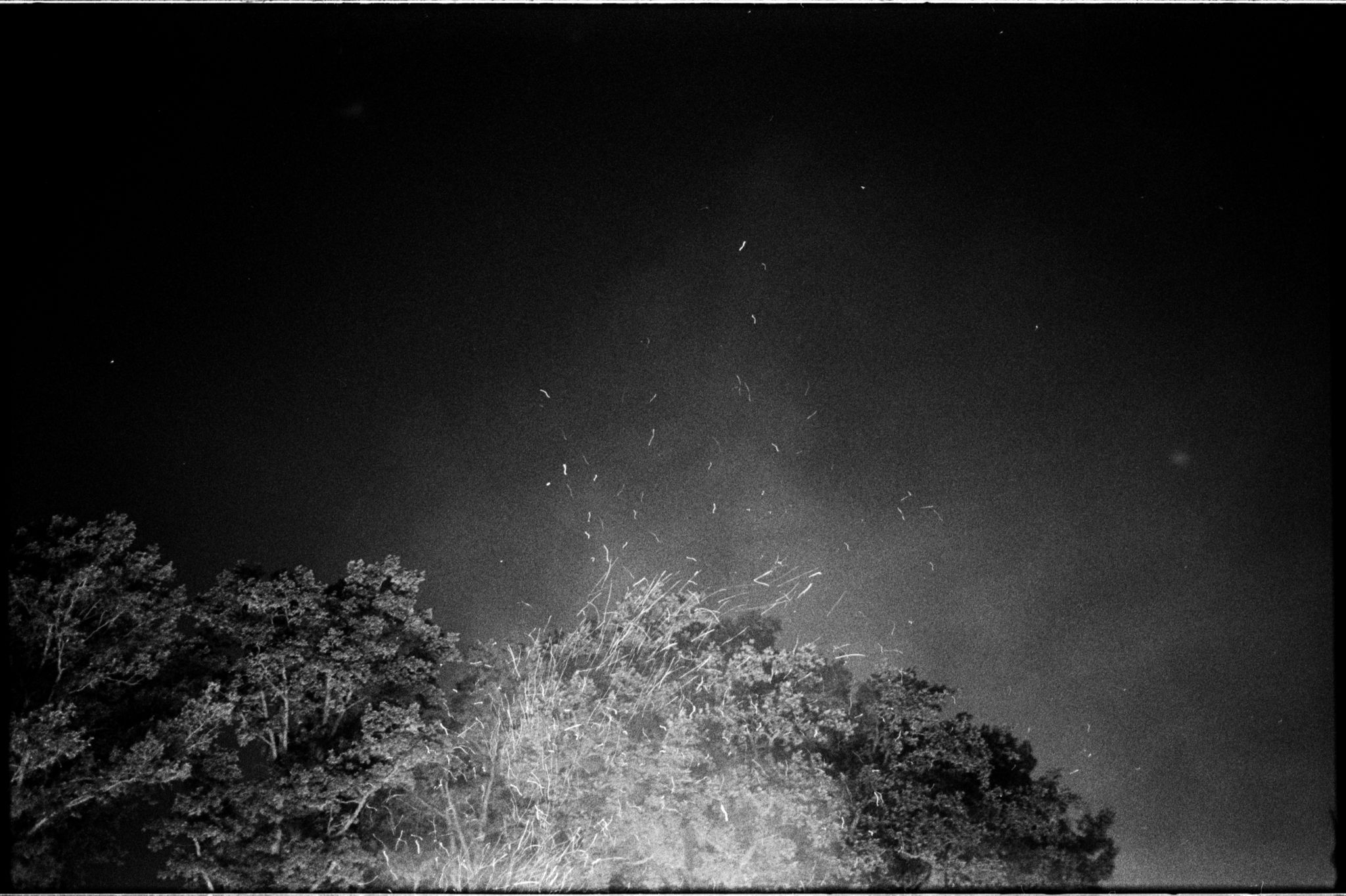 film-0674-022