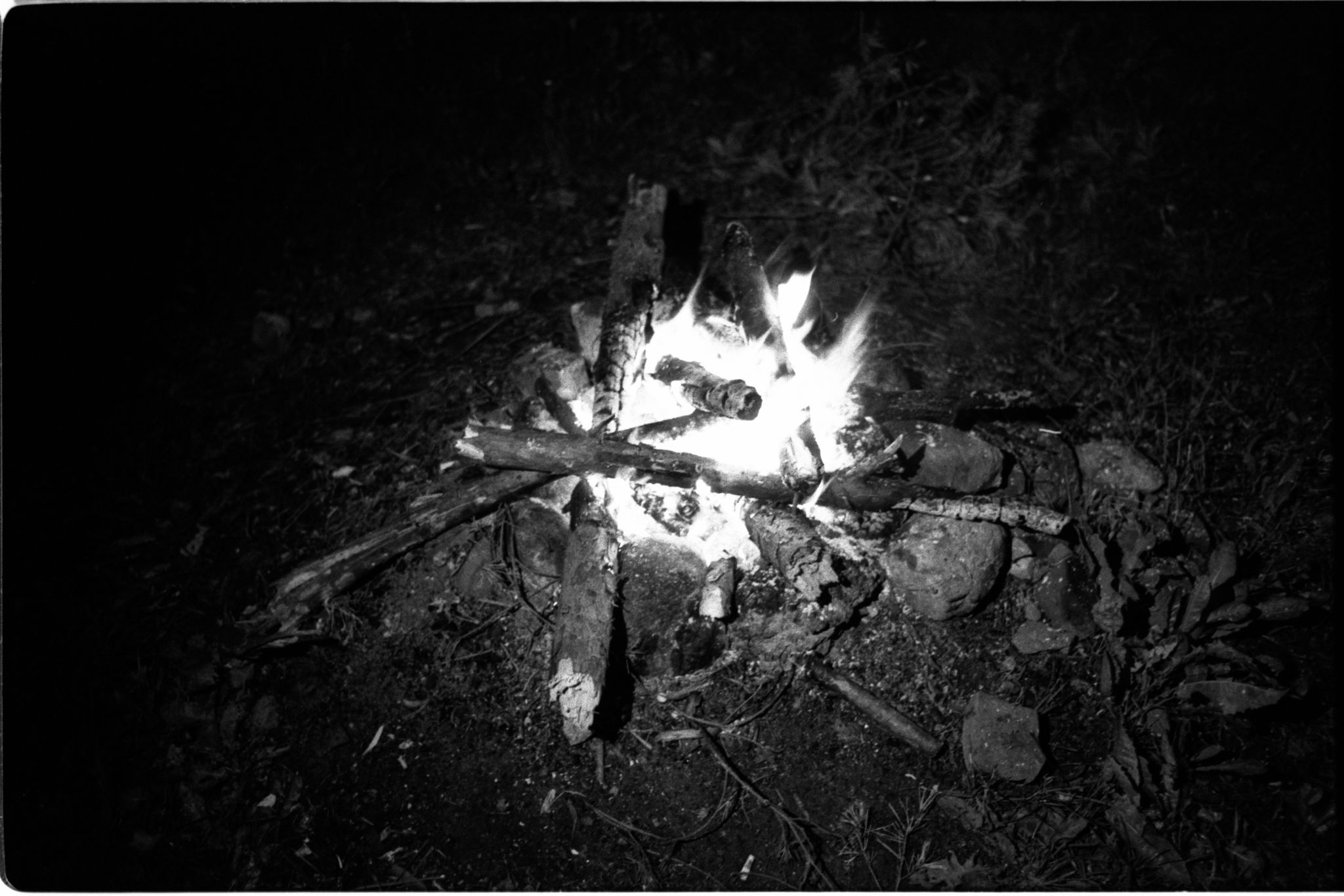 film-0669-019